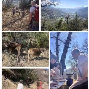 Visita a las vacas y degustación