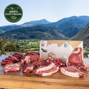 Pack Familiar - Ternera Silvestre (100% Pasto y Bellota)